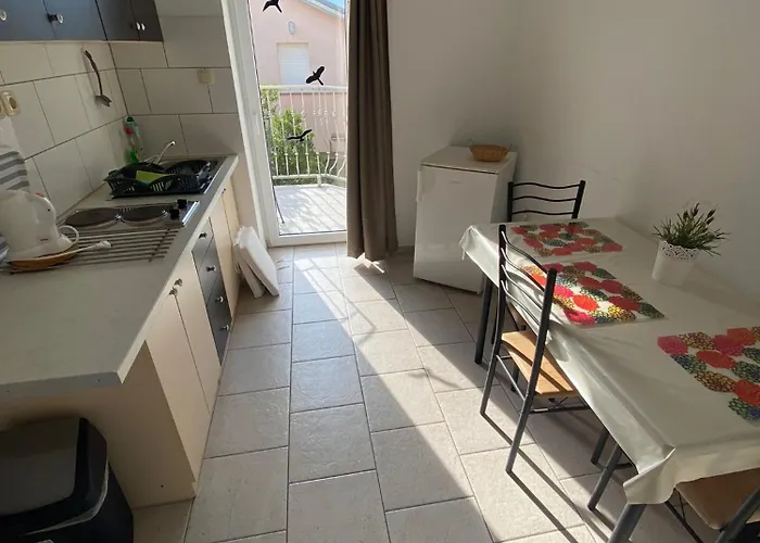 Pavo 노비비노돌스키